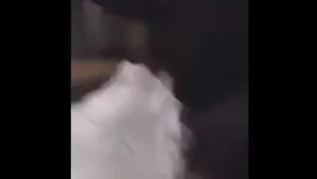 532x532