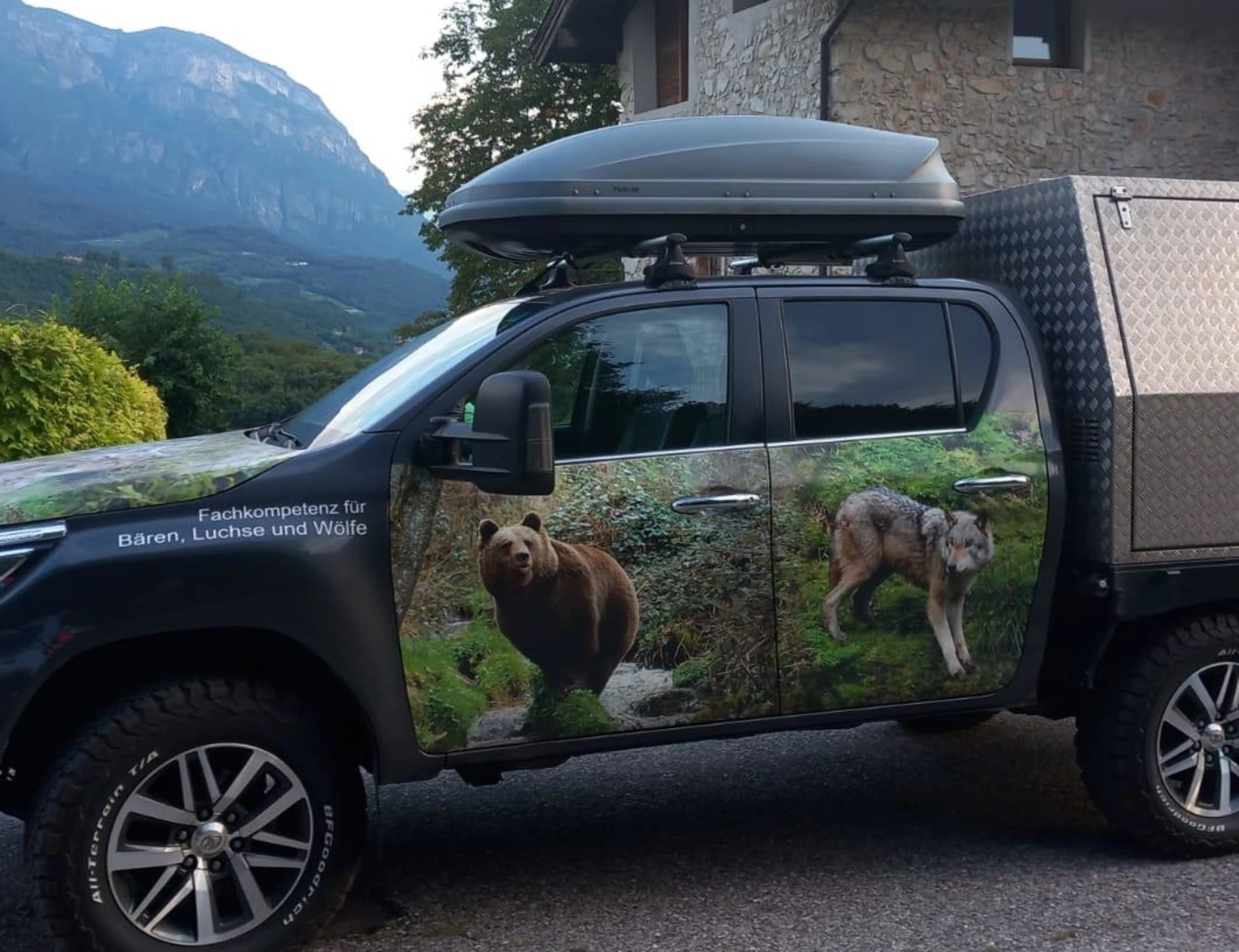 Trentino, fine delle polemiche: l'orsa JJ4 trasferita in Germania