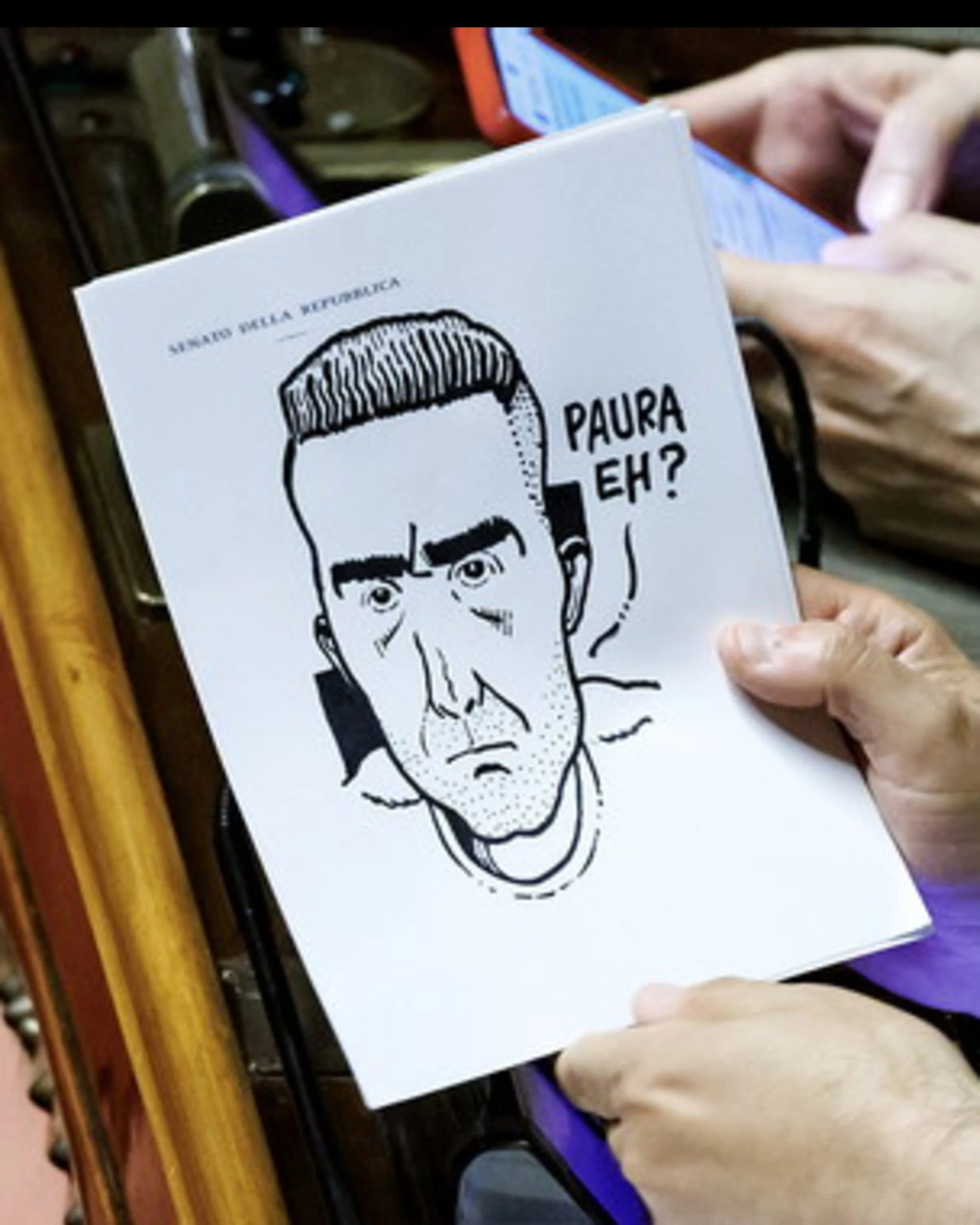 Vannacci, un generale o un capitano di ventura?