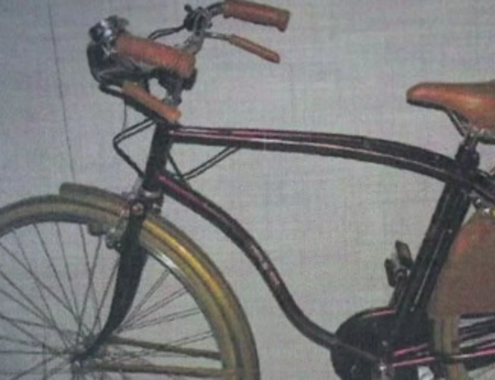 Garlasco, sangue sui pedali della bici di Stasi: la genetista ribalta tutto