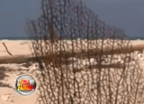 Isola dei famosi, Mediaset costretta alla censura: Francesca Cipriani e il bagno completamente nuda