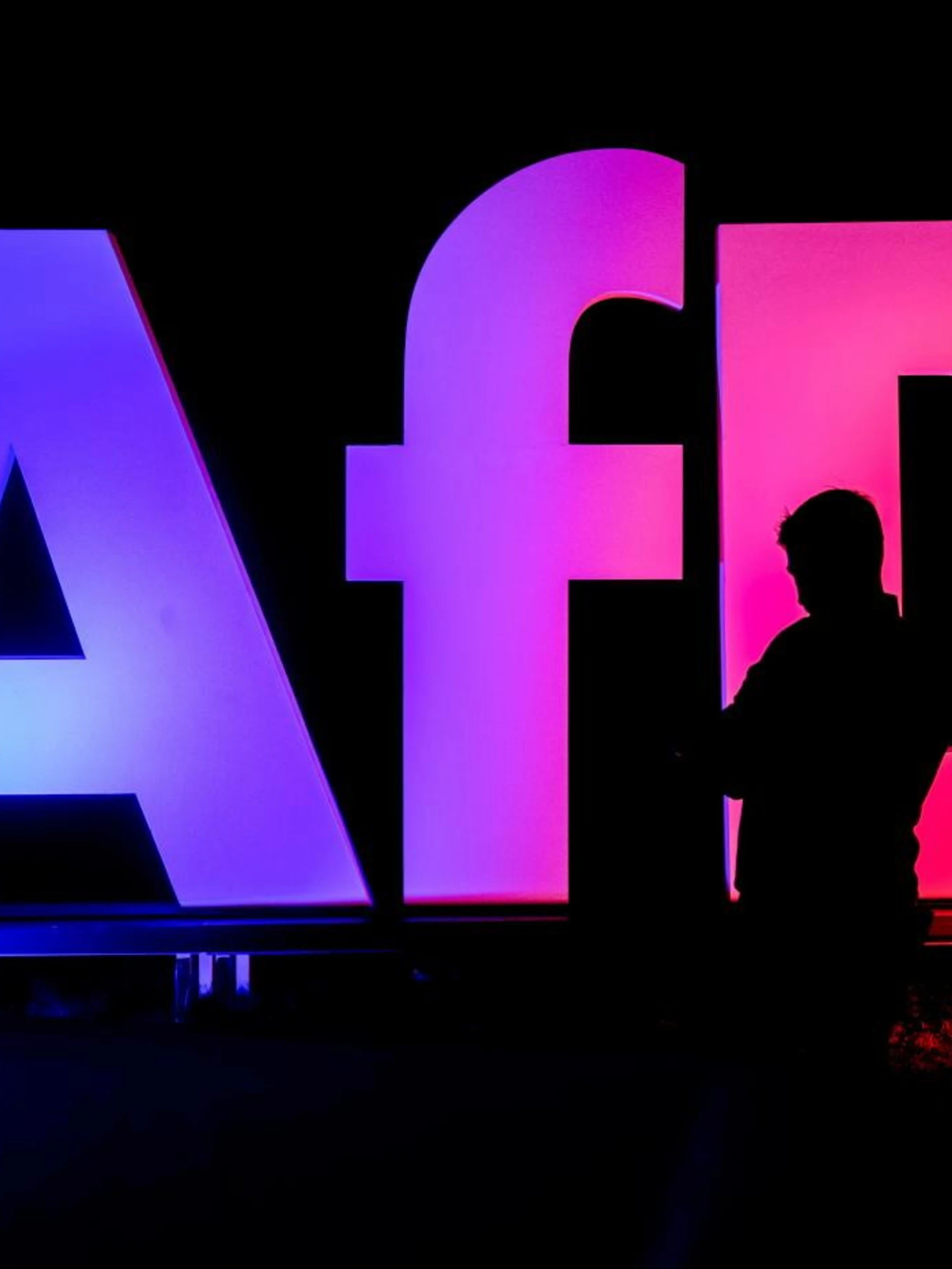 Germania, il "golpe" delle toghe contro Afd: ecco come salvano Merz