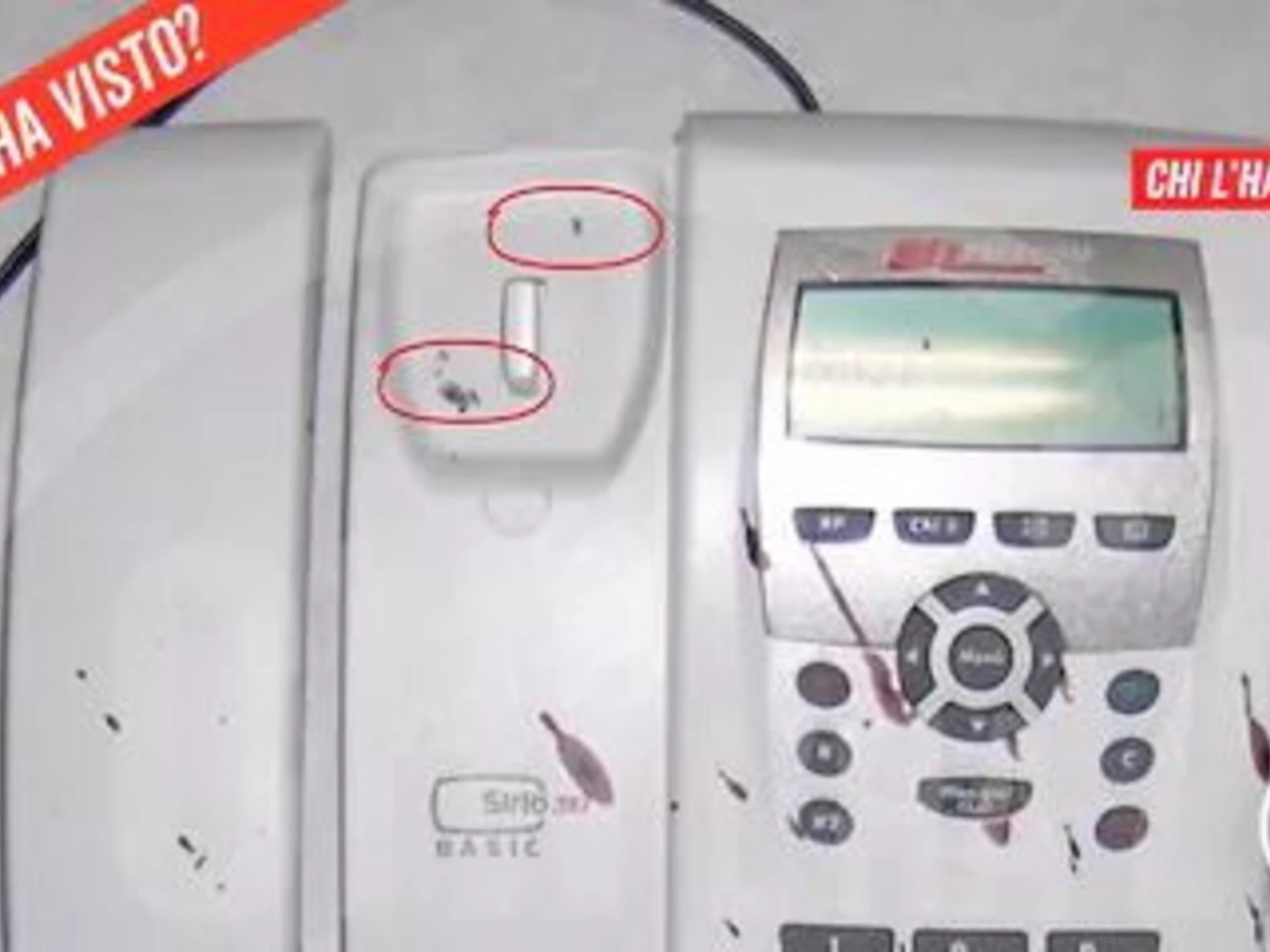 Garlasco, chi ha chiamato Chiara Poggi mentre moriva: uno choc