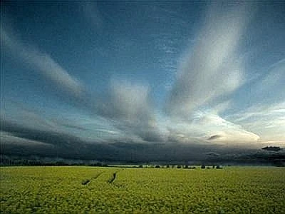 Governi bocciati in materia di clima, nessuna politica virtuosa messa in campo