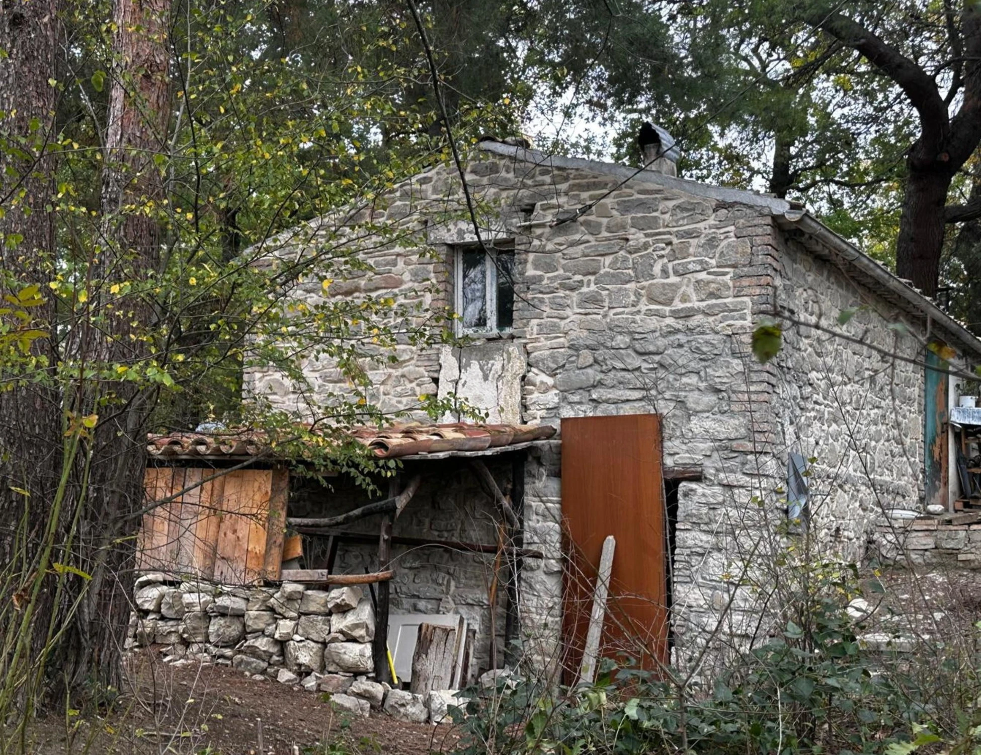 Famiglia nel bosco, ecco chi sono e come vivono i "neorurali"