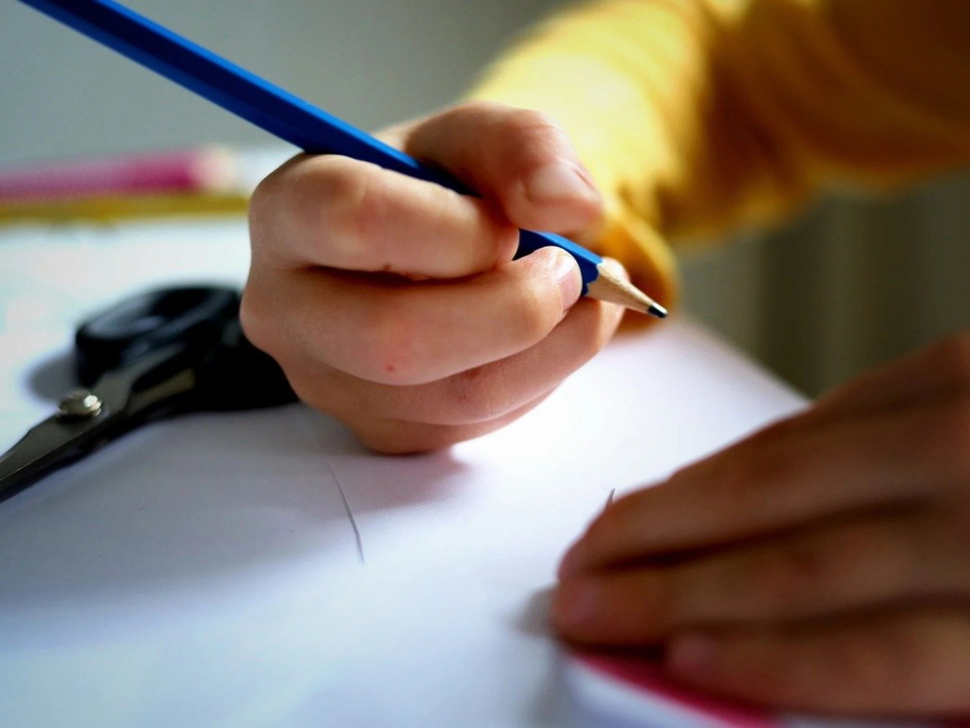 Il governo farà tornare una cosa seria la scuola dopo lo sfacelo del '68