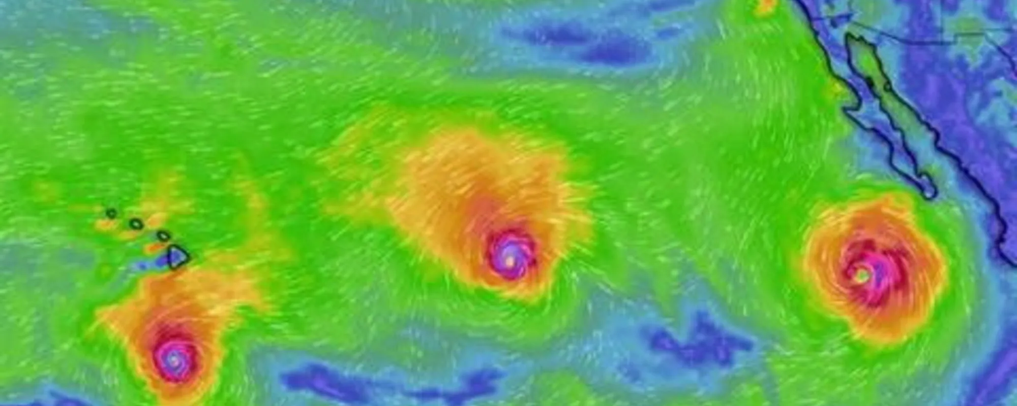 "Mai vista una cosa così. Fate scorta di cibo e acqua": allerta-meteo, cosa ci aspetta