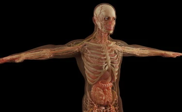 Tumore al pancreas: "Ittrio-90", cambia tutto per i casi inoperabili