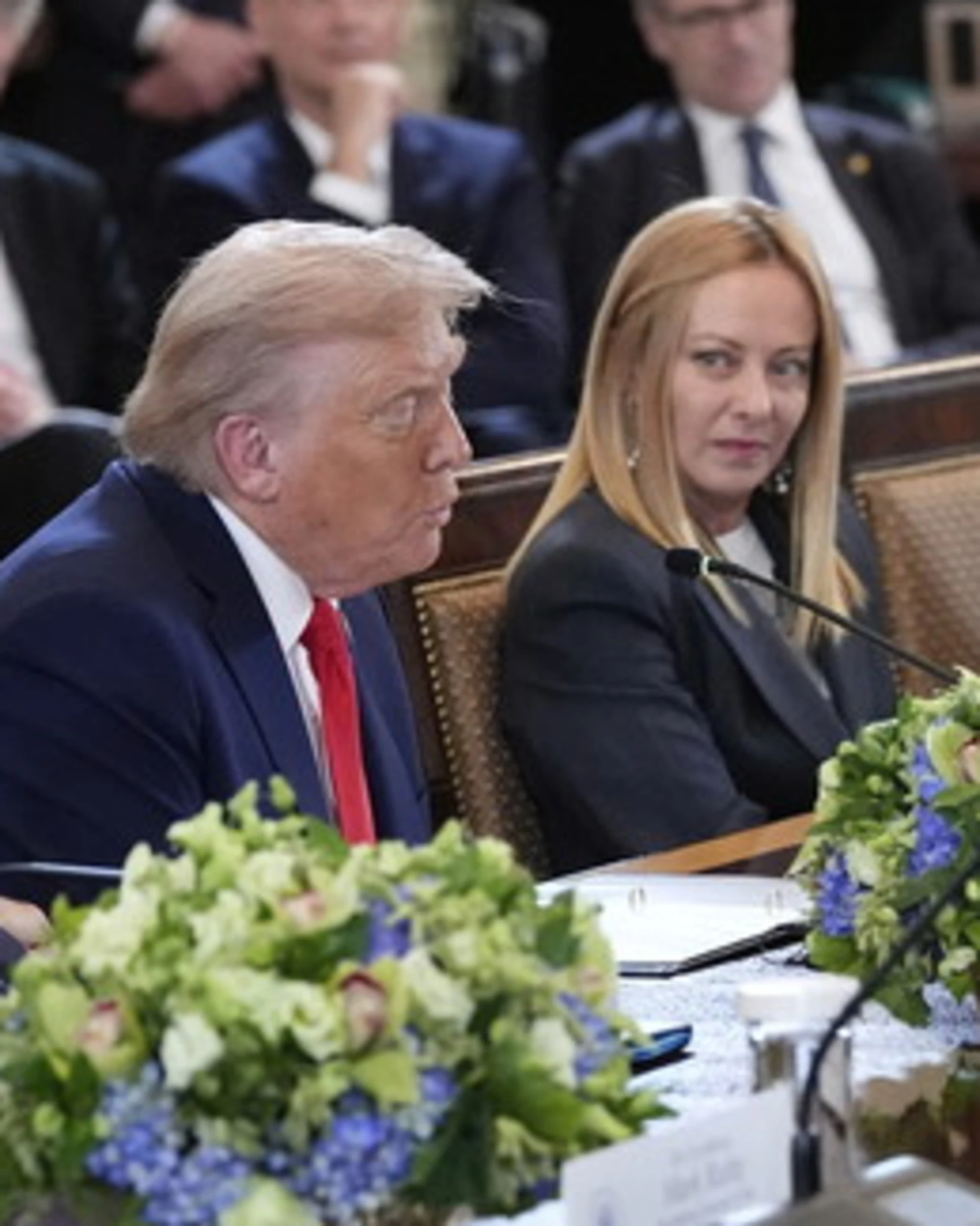 Meloni e Trump, la serata horror del piddino, da gufo a rosicone