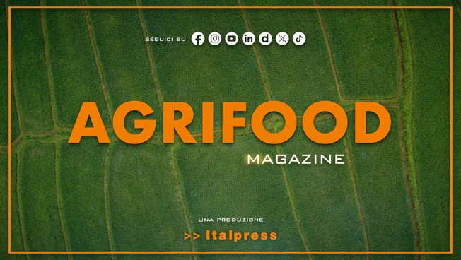 Agrifood Magazine - 29/7/2026