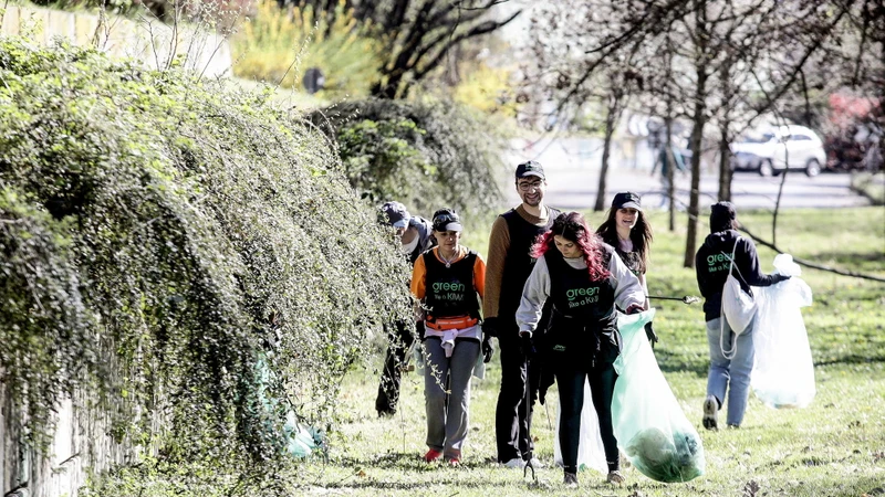 Nella Milano green non si riesce a salvare le piante