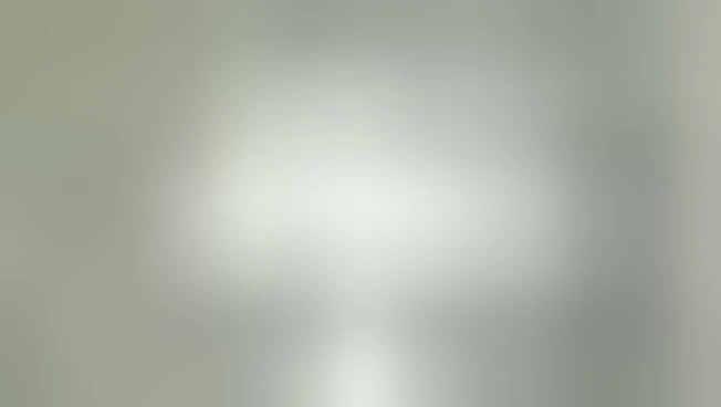 https://media.liberoquotidiano.it/nq7DsjmN7jvTFtCFCyRsTjU0_6s1X0-pkRRhXXqHSt4/width:800/quality:90/aW1hZ2VzLzIwMjYvMDYvMDgvMTUwNDQ2Nzg0LTMwMTk5Mzg0LTdiOGYtNDVjOC1iMDI3LTZhMWNjZTVjMTgyMy5qcGc.webp
