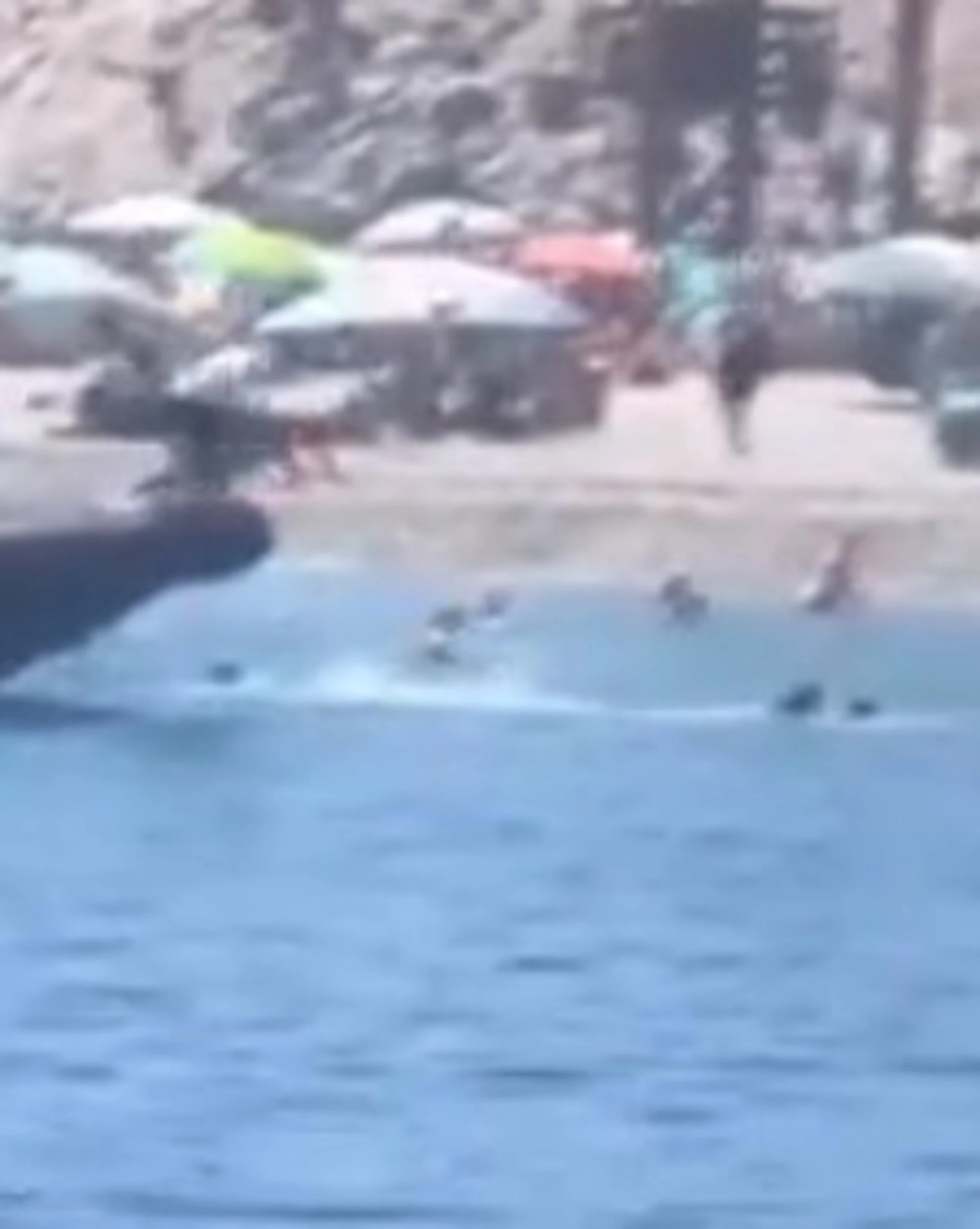 Spagna, immigrati sbarcano sulla spiaggia affollata: turisti sconvolti, il video