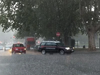 Pioggia e vento forte, continua l'allerta Cade albero e colpisce un passante