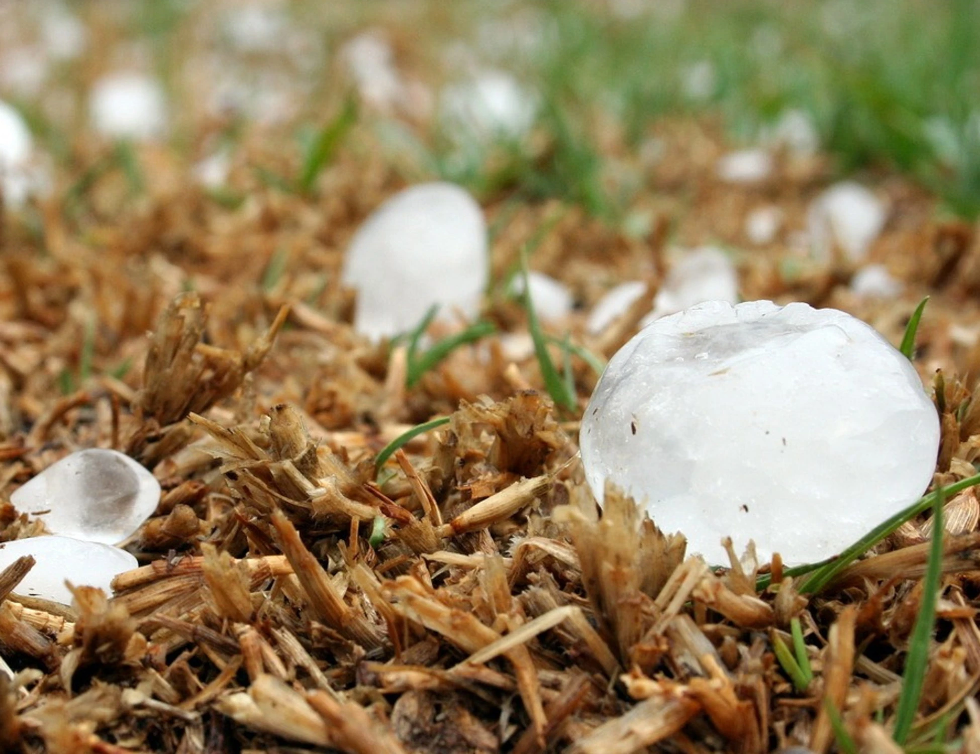 Meteo, "grandine e nubifragi": ore di paura, dove si abbatte la tempesta