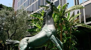 Coronavirus, due casi positivi anche in Rai: "Tamponi per 60 colleghi"