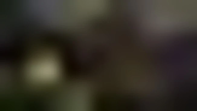 Spari a cena con media e Trump, gli agenti nella casa del sospettato