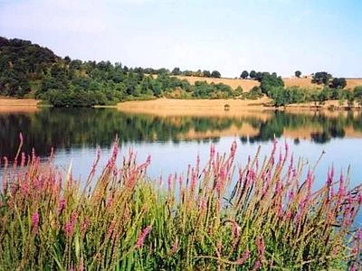 A maggio "RiservAmica", la prima Festa nazionale delle riserve naturali dello Stato