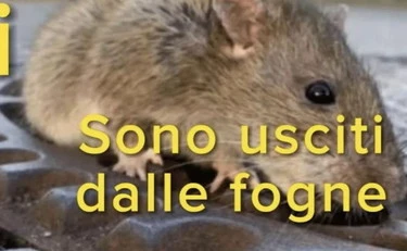 Silvia Salis, la consigliera insulta gli elettori di destra dandogli dei "topi"? Per la sindaca non c'è problema... 