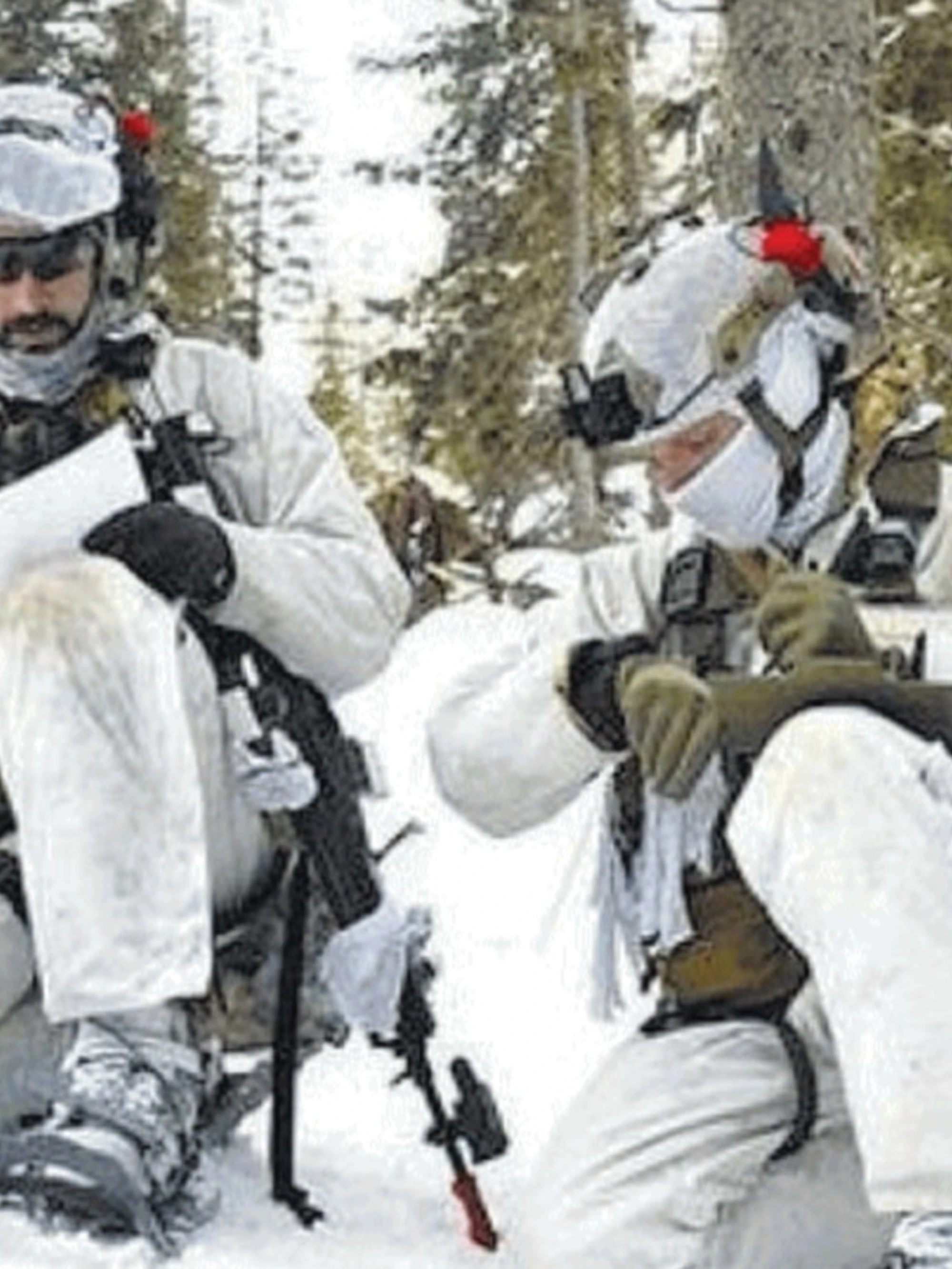 Avs infanga gli Alpini: "Cortina assediata". L'ultimo sfondone della sinistra