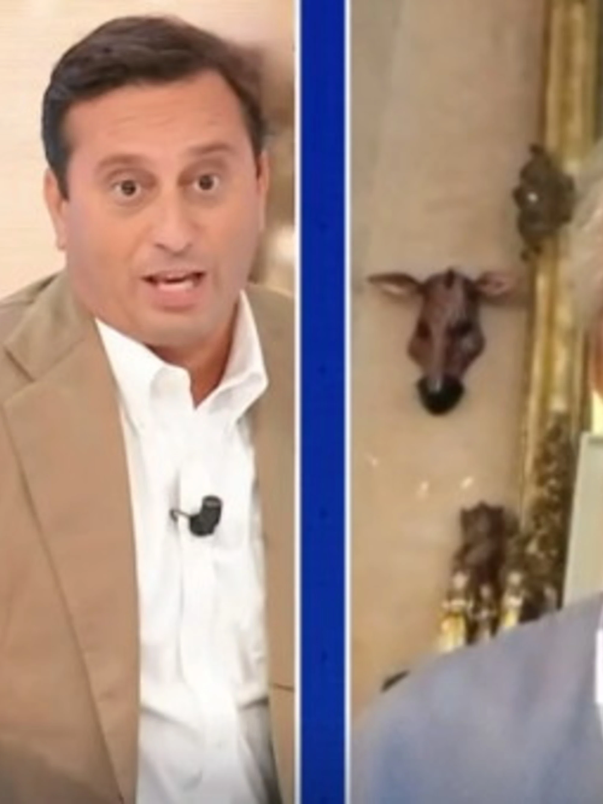 Odifreddi, la frase choc fa sbottare Parenzo: "Mi inca***, non è normale"