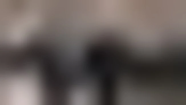 Merz riceve Zelensky a Berlino, al via consultazioni Germania-Ucraina