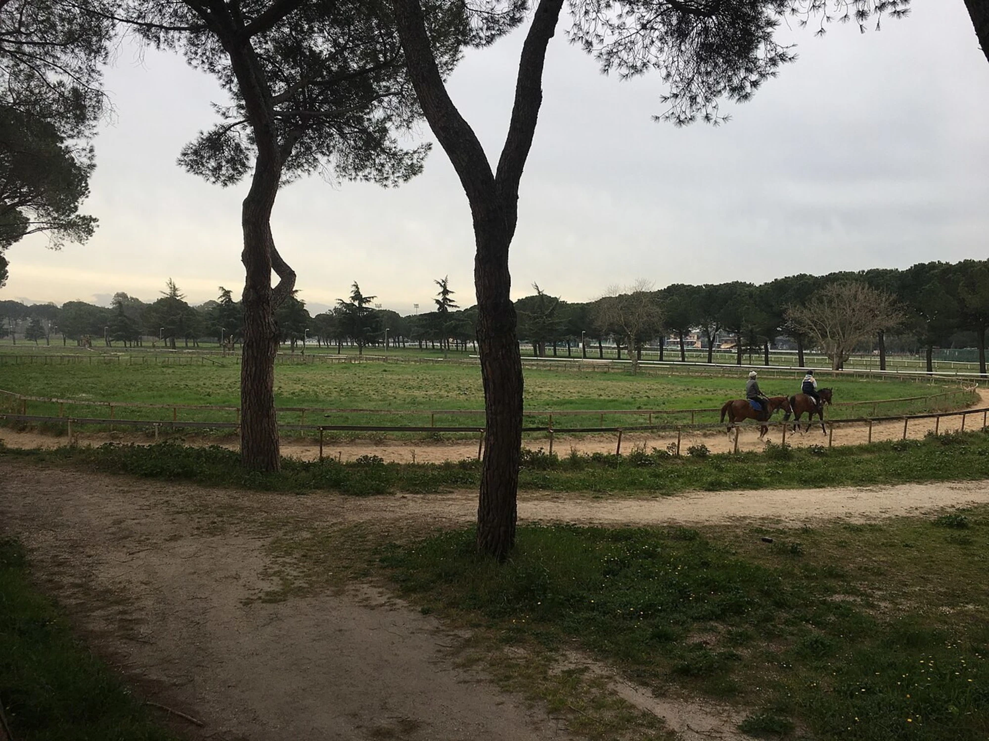 Partono i licenziamenti all'ippodromo di Roma Capannelle