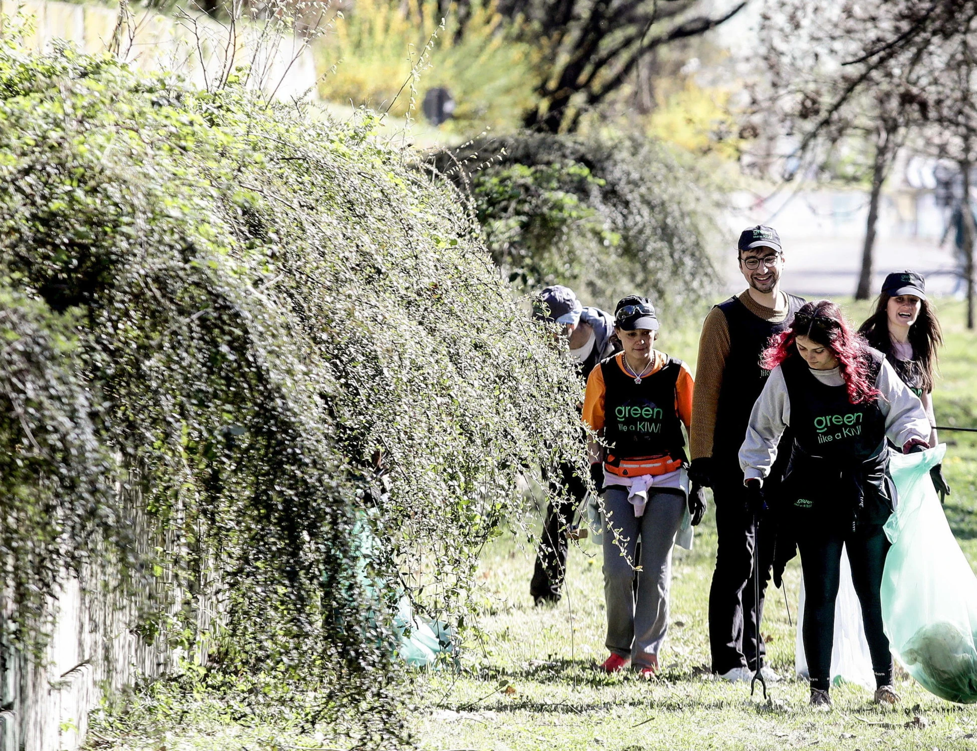 Nella Milano green non si riesce a salvare le piante