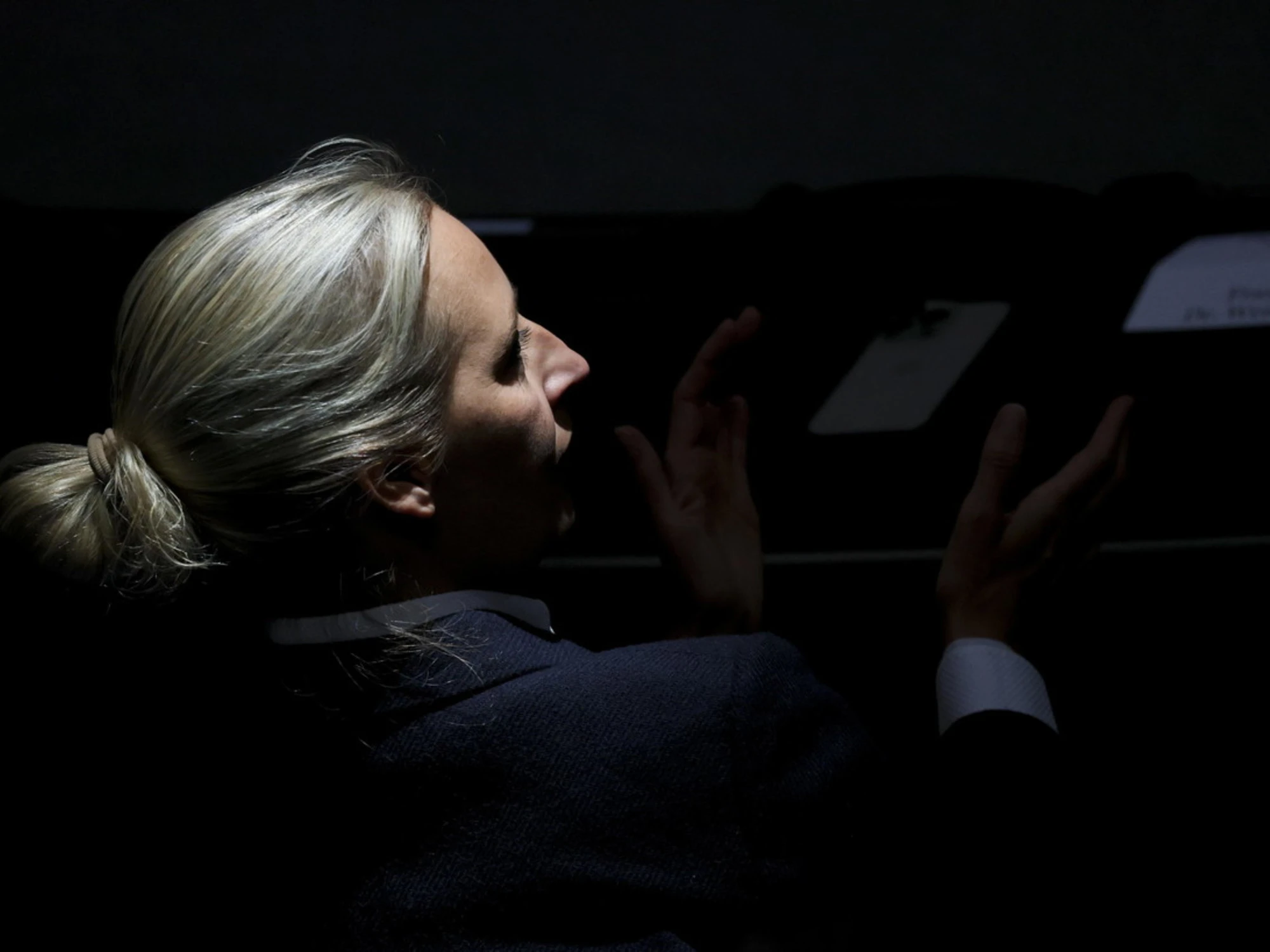 Quattro candidati dell'Afd morti in 15 giorni