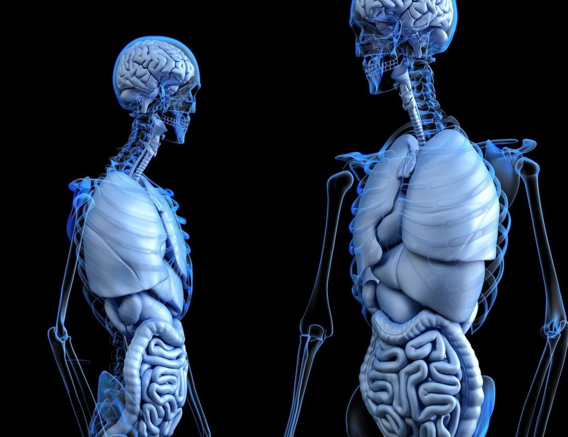 Incontinenza, il primo campanello d'allarme dalla vescica