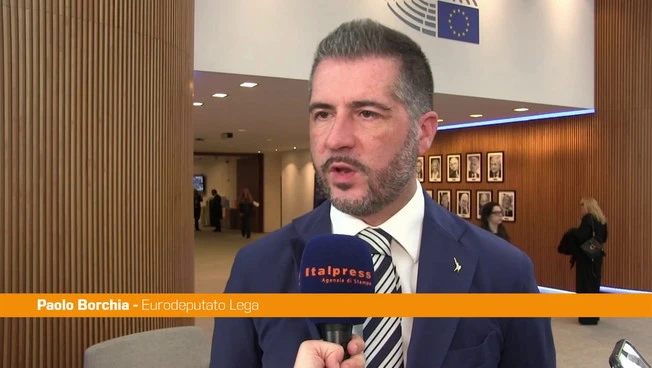Ue, Borchia "Serve più flessibilità, sulla tecnologia evitare ipernorme"