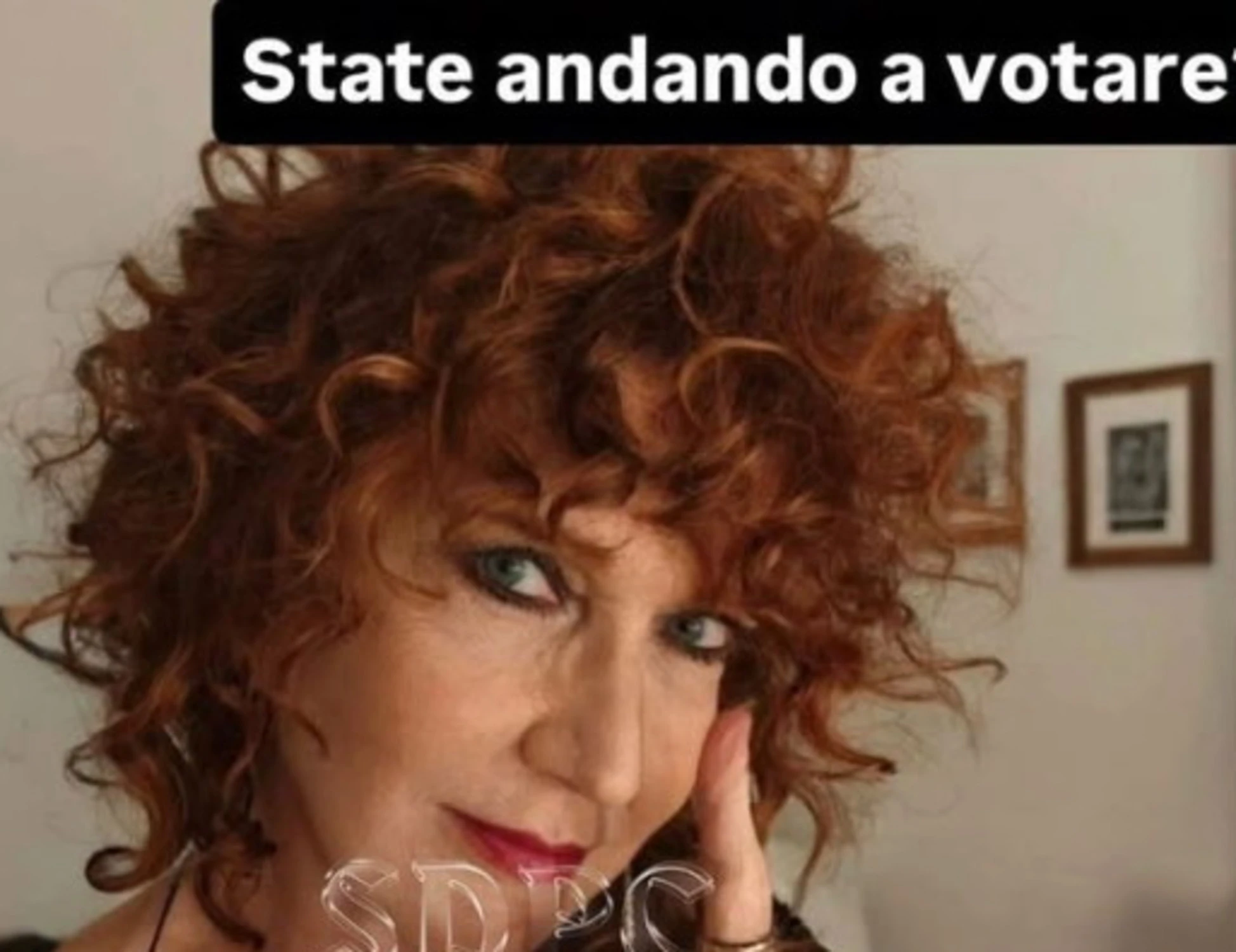Referendum, la clamorosa gaffe di Fiorella Mannoia: "State andando?"