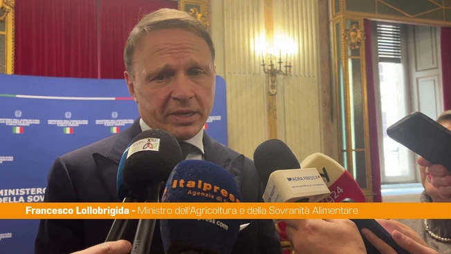 Agroalimentare, Lollobrigida "Cabina di regia sui controlli esempio per l'Ue"