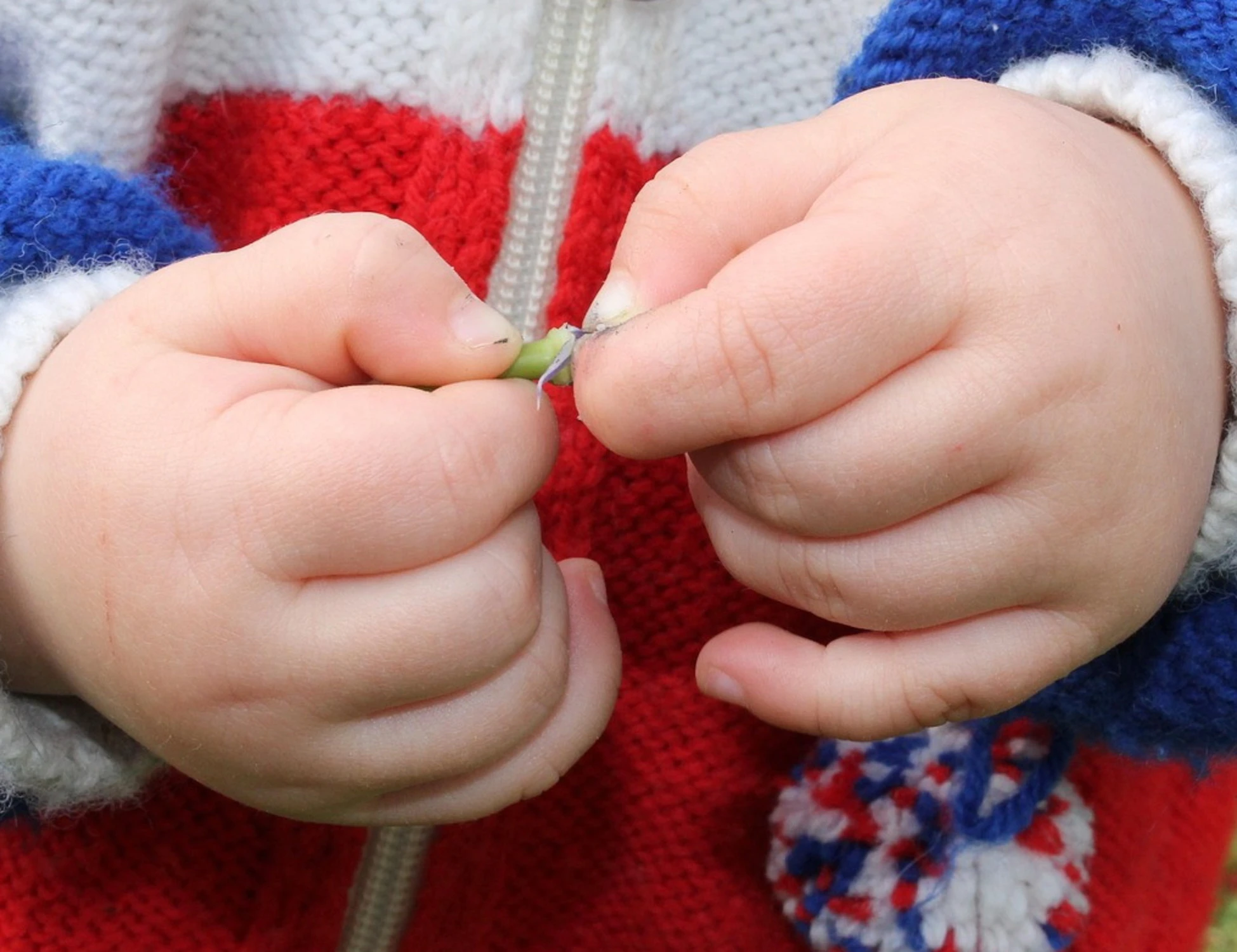 Latina, violenza sessuale su bimbo di 5 anni: orrore del tunisino, come lo sorprendono