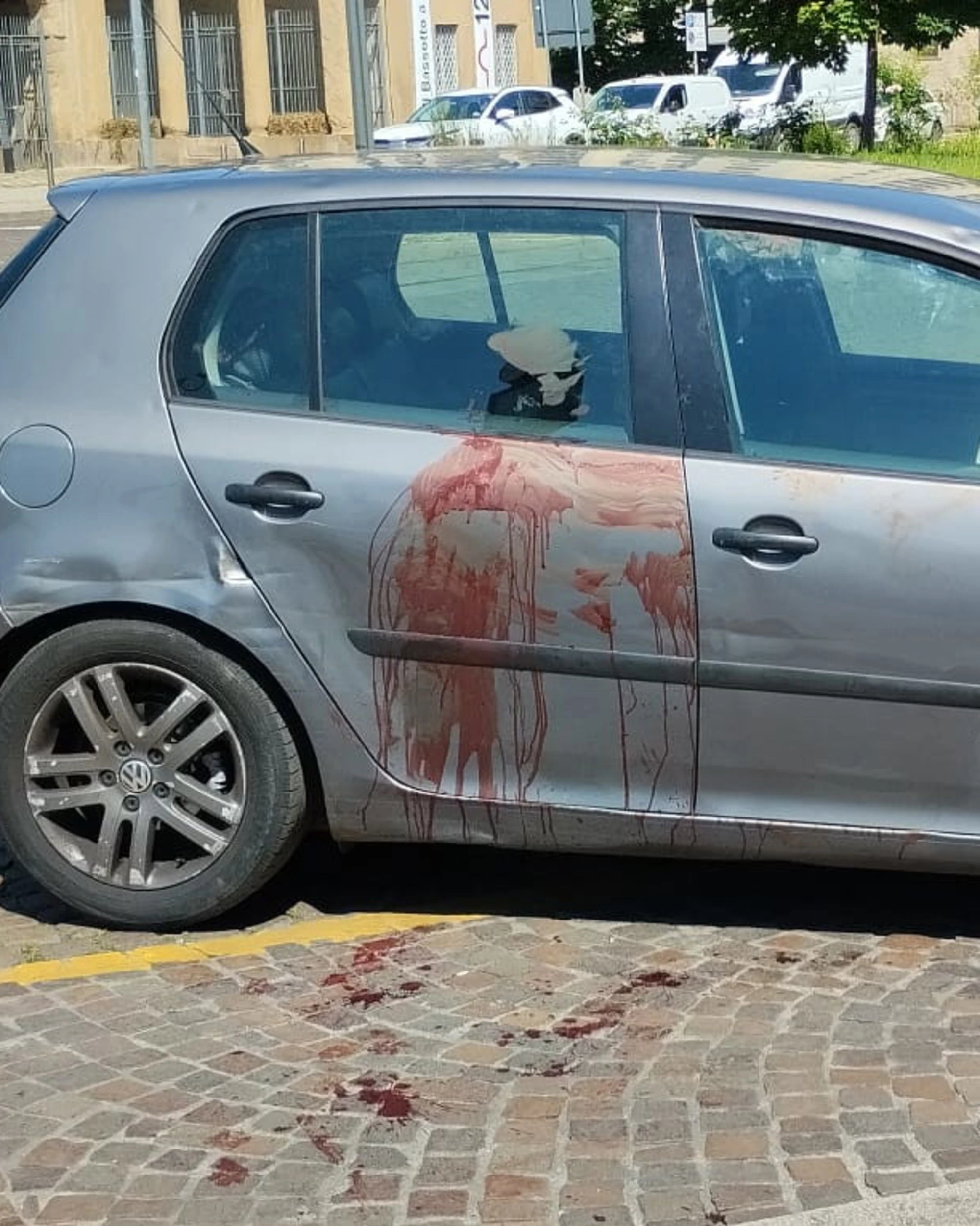 Milano choc, un ragazzo e il suo cane accoltellati in centro