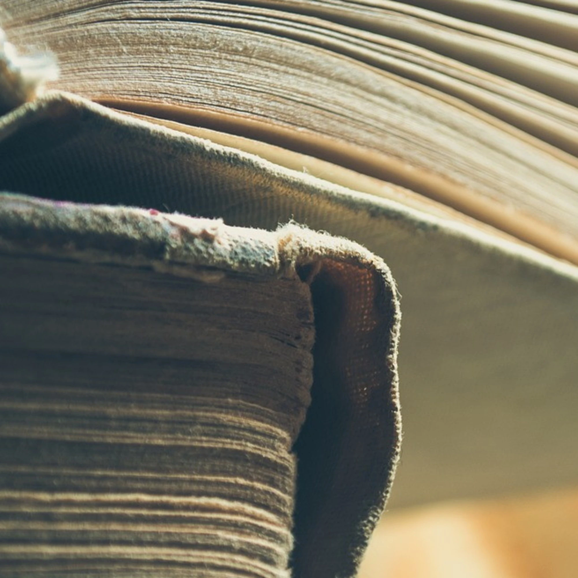 Basta con i pantheon degli autori di destra