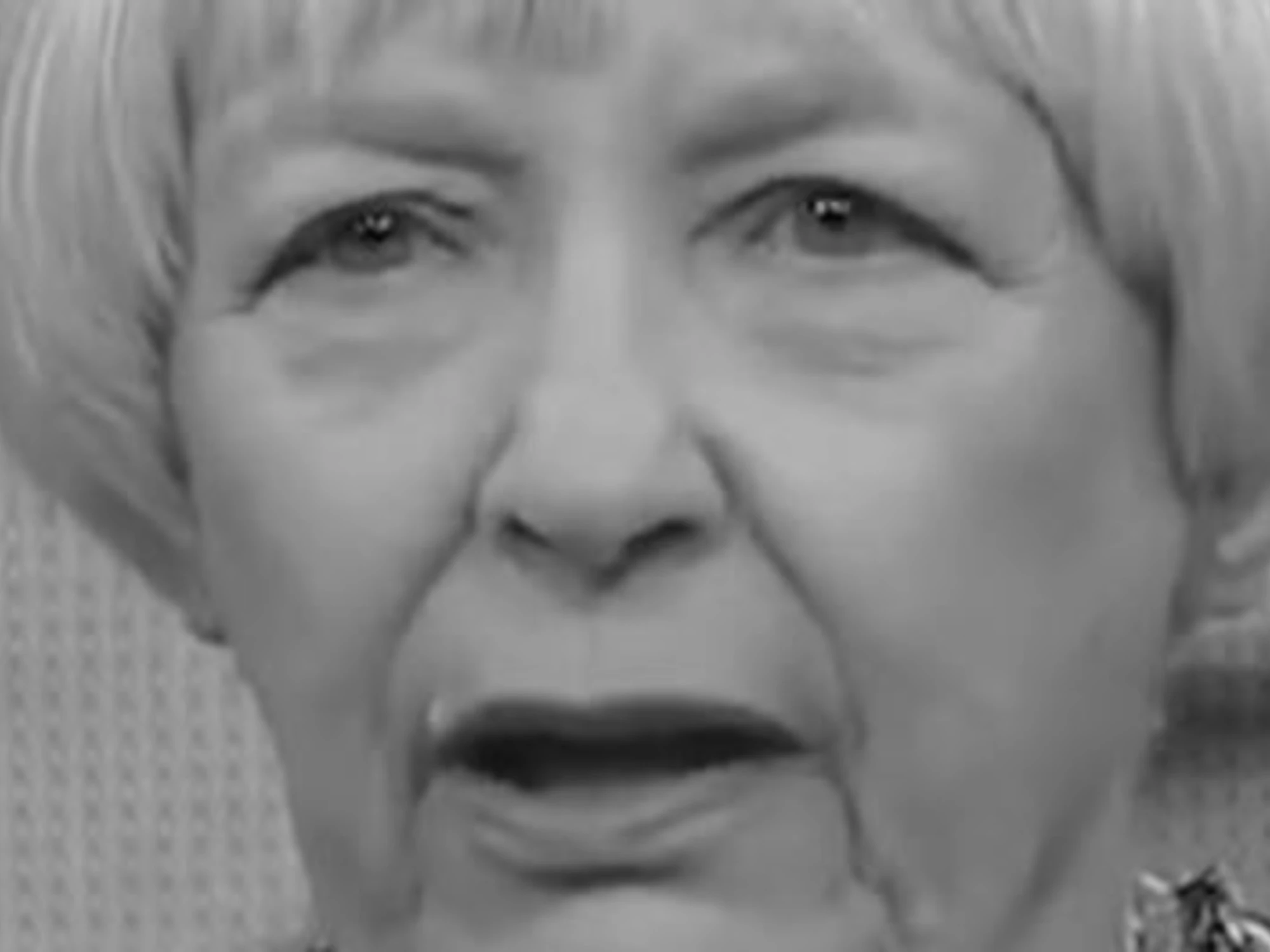 FdI inchioda la sinistra: "Ecco chi odia Giorgia Meloni"