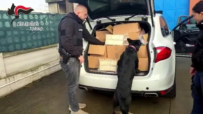 Sequestrata quasi mezza tonnellata di droga nel Torinese, tre arresti