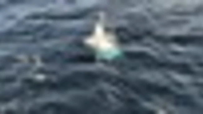 Le immagini della barca a vela alla deriva nel Golfo di Biscaglia