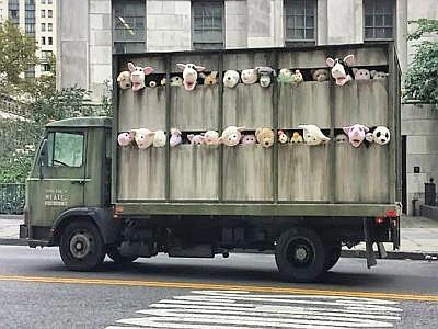 Peluche contro l'industria della carne, l'ultima provocazione di Bansky