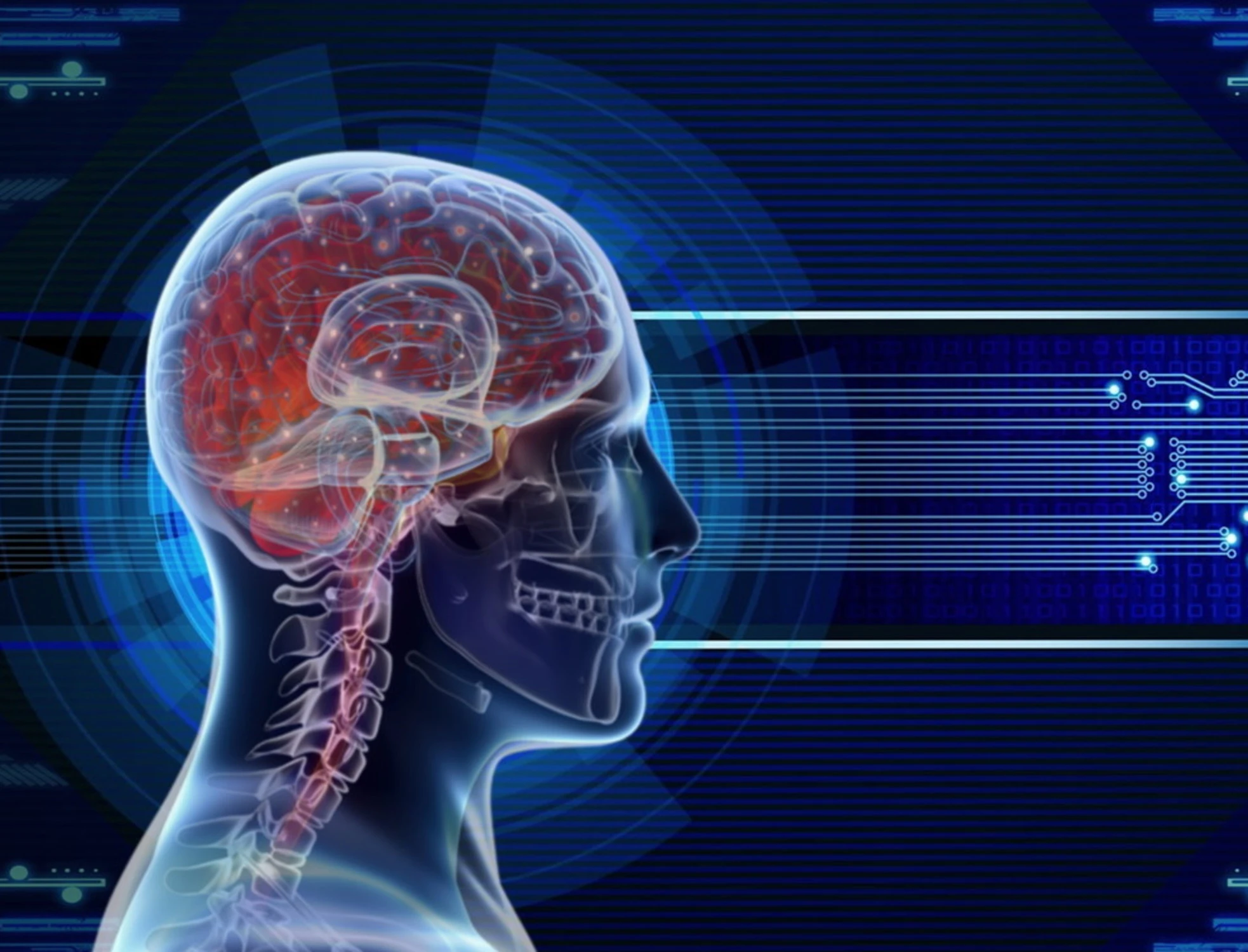 Ristorante, quello che ordini svela come funziona il tuo cervello