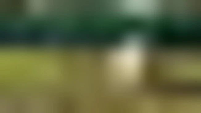 https://media.liberoquotidiano.it/oqSI5sdat7lMYvfWshKvIlL6di7B2LWVWYvwwOXnzYg/width:800/quality:90/aW1hZ2VzLzIwMjUvMDkvMDEvMTIzNzM5NzQ5LWVlODA2YWMwLWU5ZGYtNGJkMC1iZjk4LWY2YjgwMjk0MzJlNC5qcGc.webp