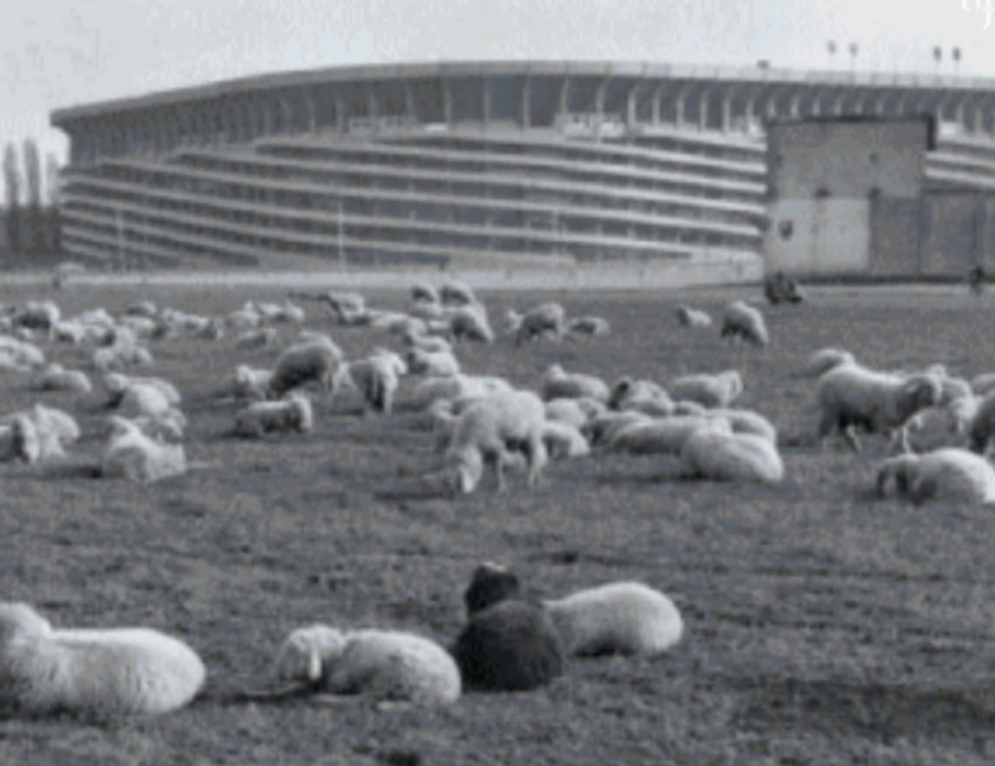 San Siro, il colosso che da un secolo veglia su Milano