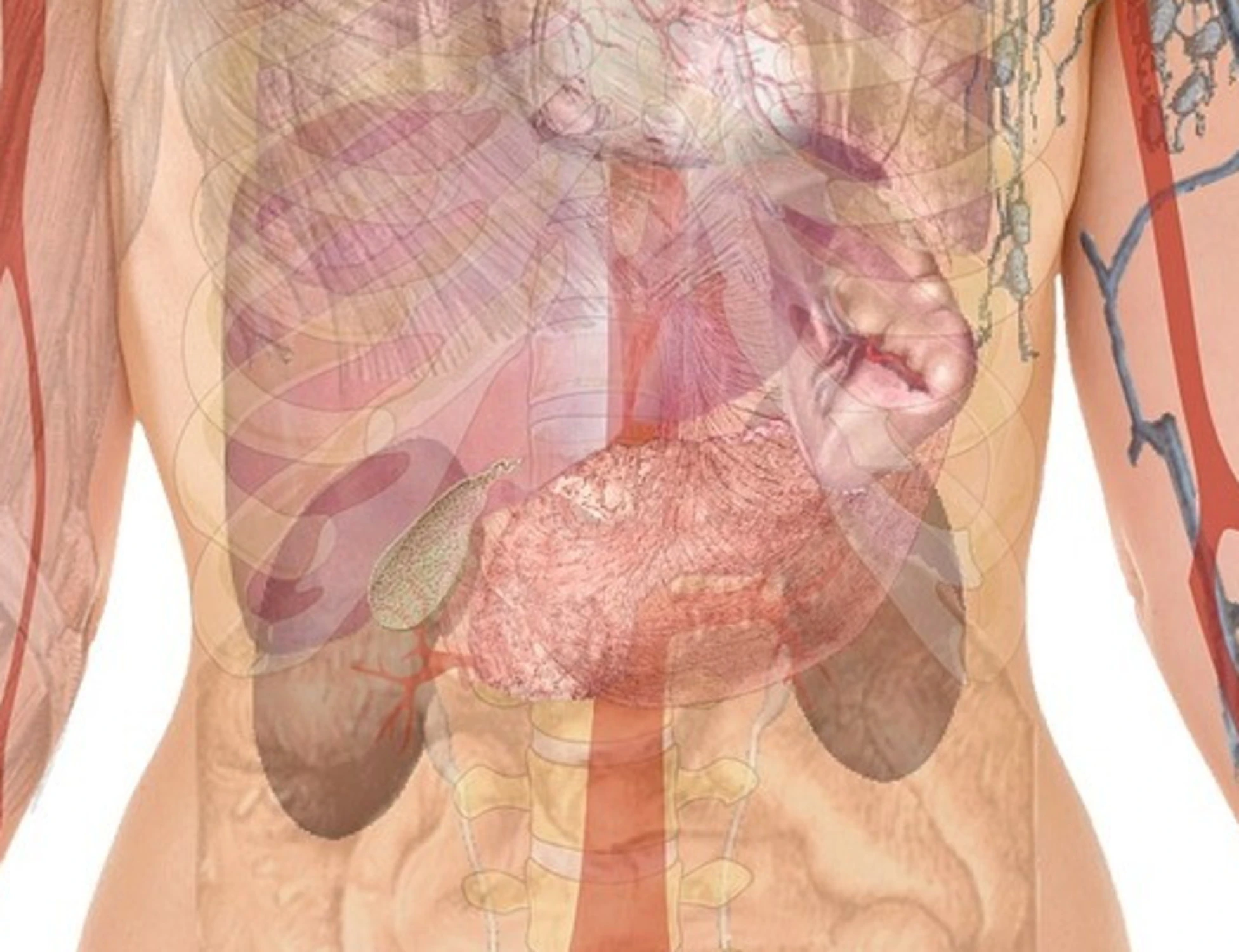 Calcoli renali, l'errore che ti condanna: la dritta dell'urologo