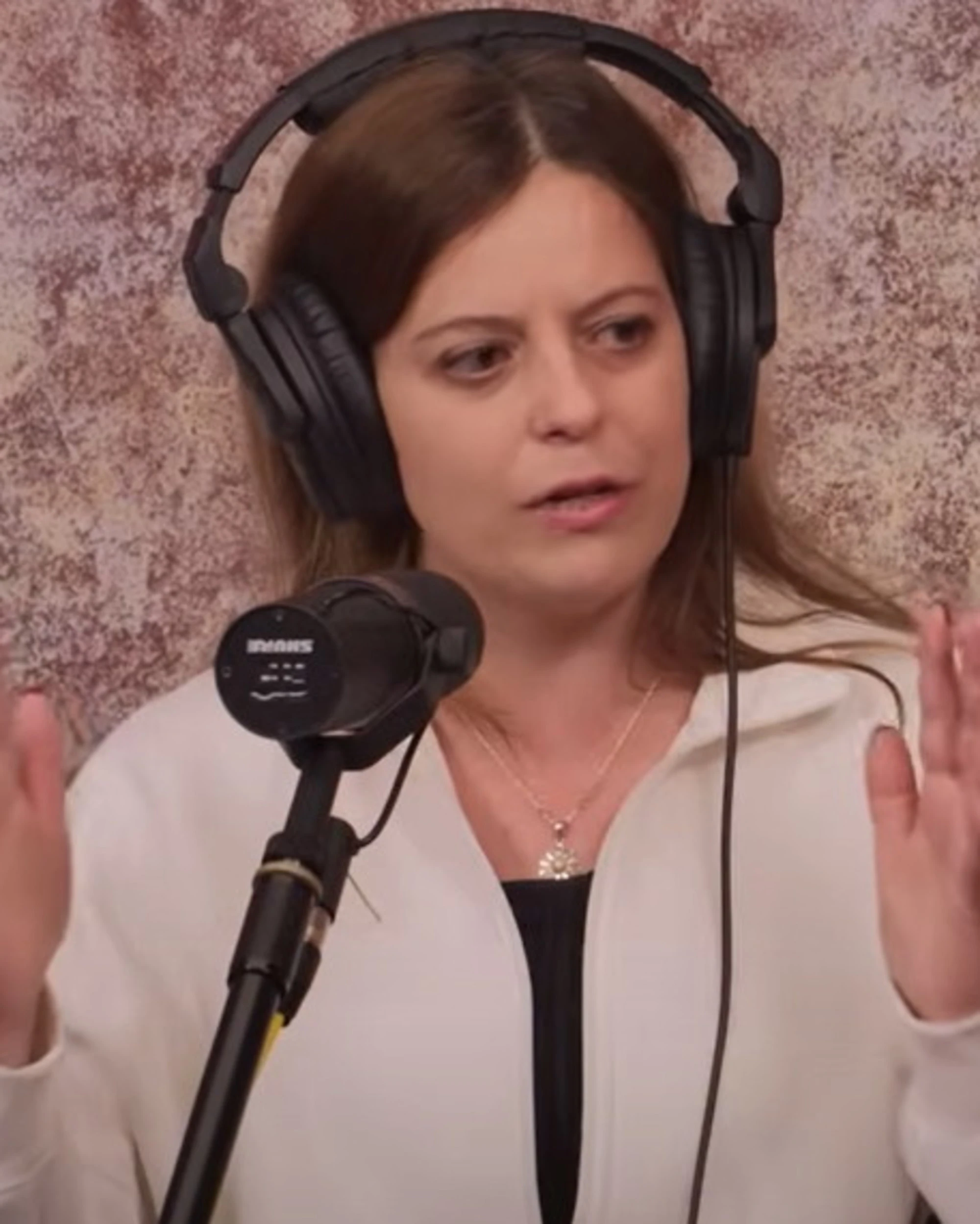 Ilaria Salis asfaltata in diretta da Fedez su case occupate e centri sociali