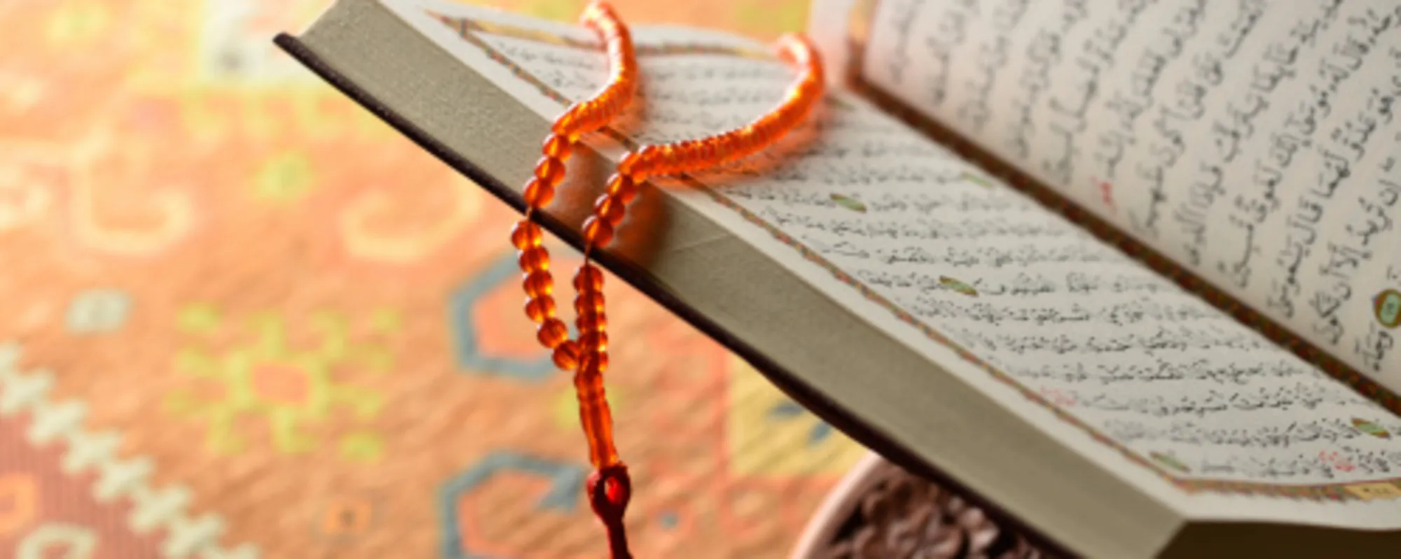 Lezioni di Corano a Modena, catechismo islamico a Brindisi: furia-FdI, due casi sconcertanti