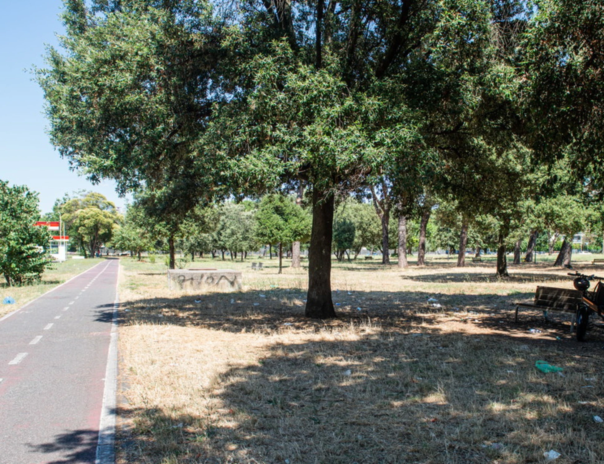 Roma, 60enne derubata e violentata al parco mentre passeggiava con il cane