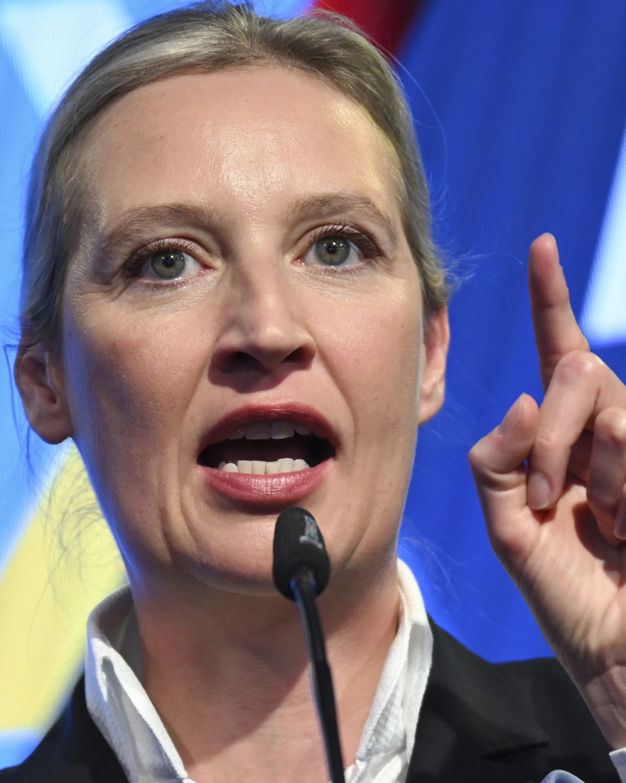 Afd, in Renania vietati gli incarichi pubblici a chi la tessera di partito. Salvini: "Insulto alla democrazia"