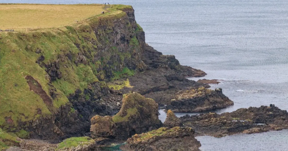 Sapori dell'Atlantico: viaggio culinario nell'ovest dell'Irlanda