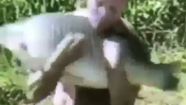 640x640